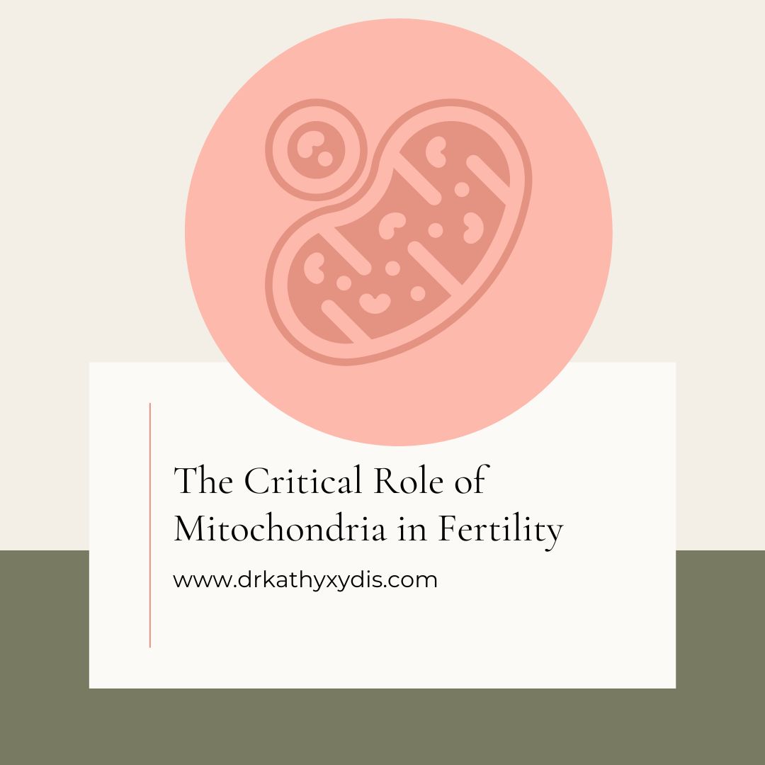 graphic of mitochondria and an oocyte for fertility