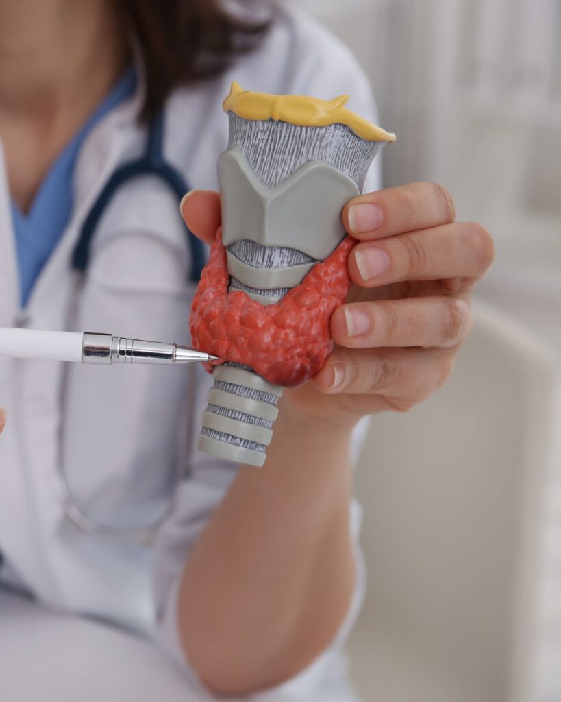 The thyroid gland is a butterfly-shaped gland in the neck just under your Adam’s apple